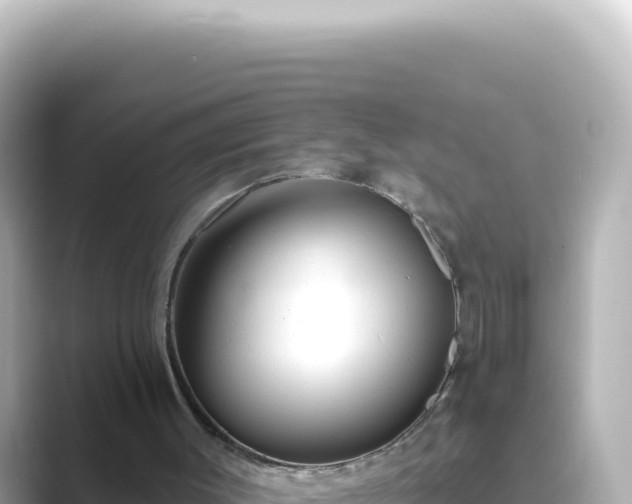 X0000089440003200706221237