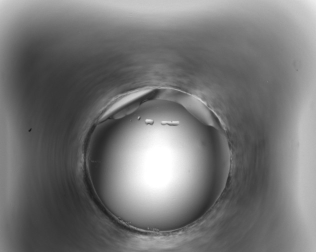 X0000089440005200706221237