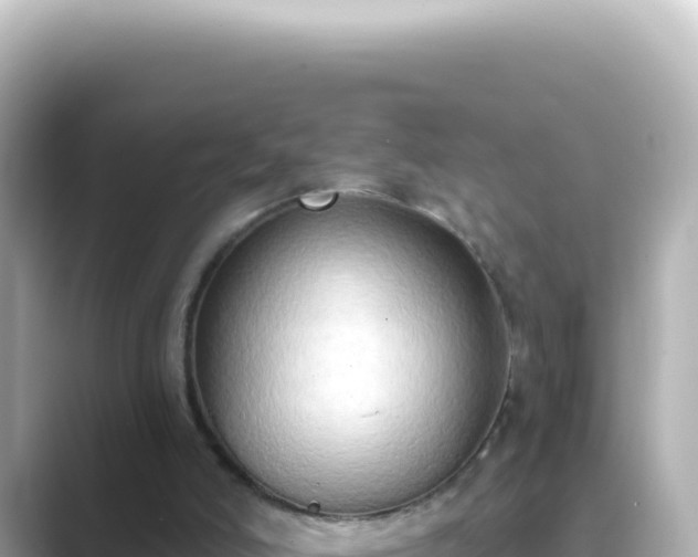 X0000089440006200706221237