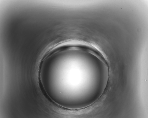 X0000089440007200706221237