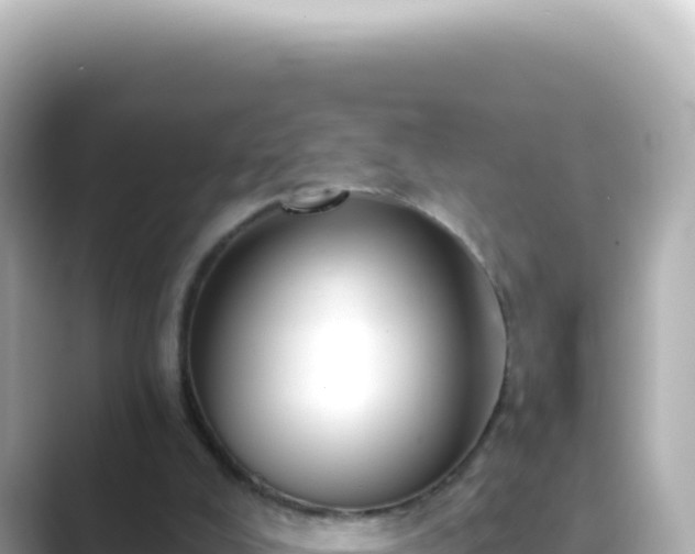 X0000089440008200706221237
