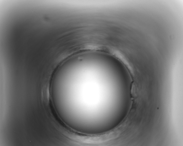 X0000089440011200706221237
