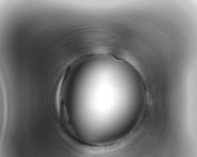 X0000089440013200706221237