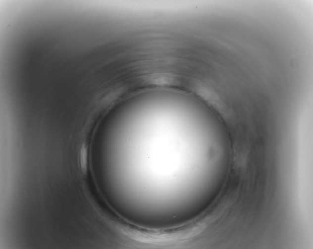 X0000089440014200706221237