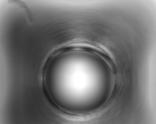 X0000089440015200706221237