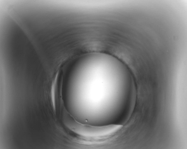 X0000089440017200706221237