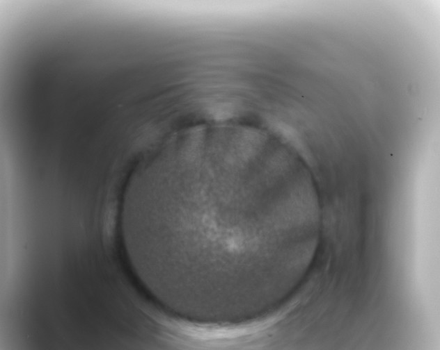 X0000089440018200706221237