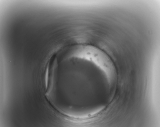 X0000089440019200706221237