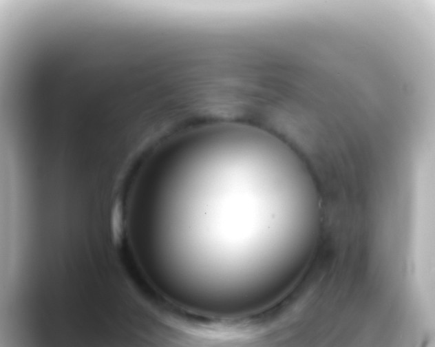 X0000089440020200706221237
