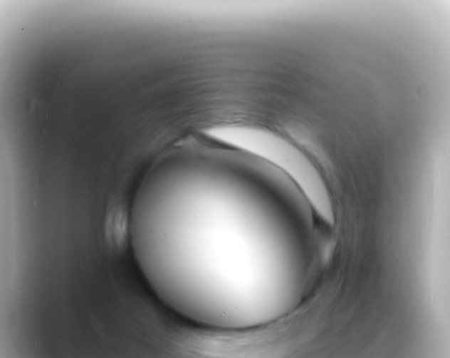 X0000089440021200706221237