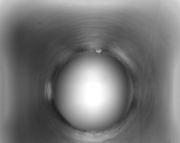 X0000089440022200706221237