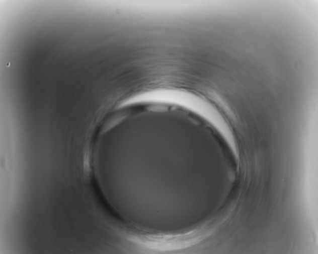 X0000089440023200706221237