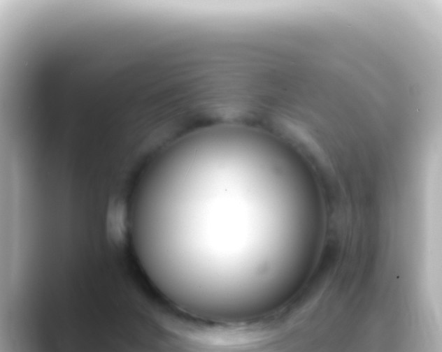 X0000089440024200706221237