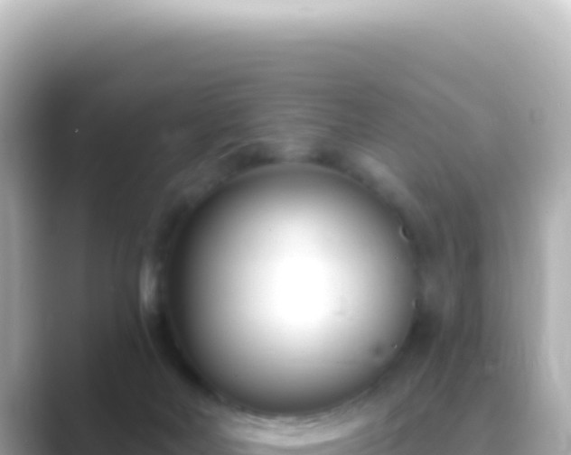 X0000089440026200706221237