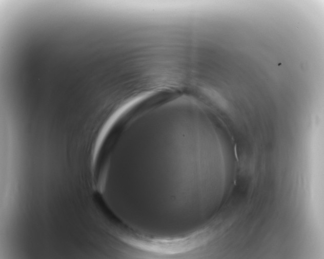 X0000089440027200706221237