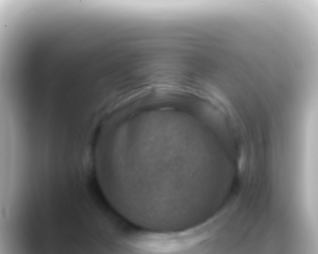 X0000089440029200706221237
