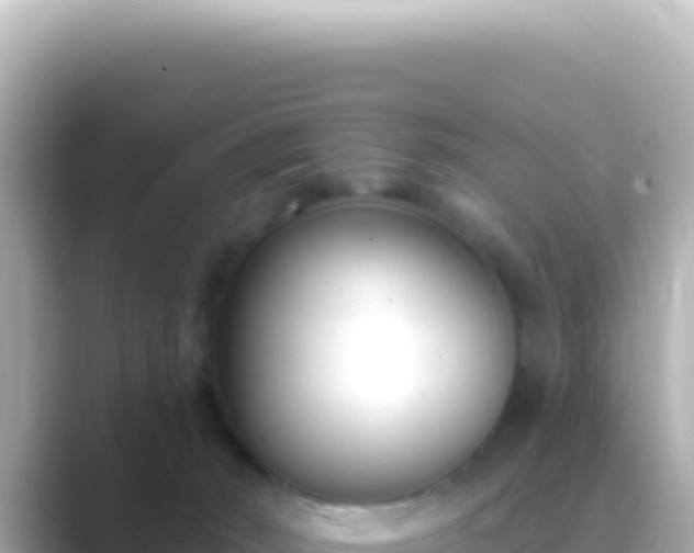 X0000089440030200706221237