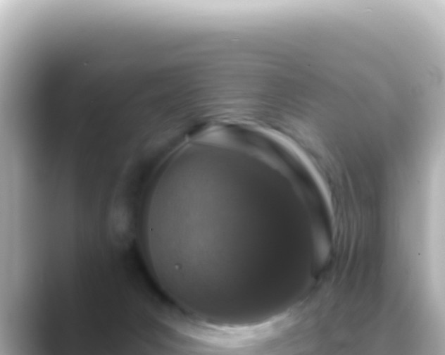 X0000089440031200706221237
