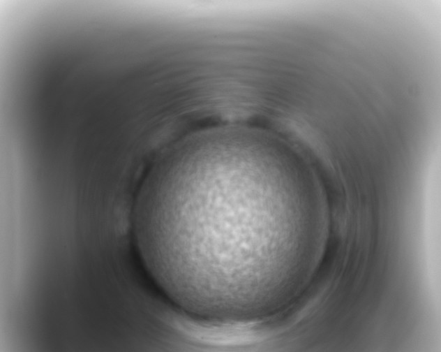 X0000089440032200706221237