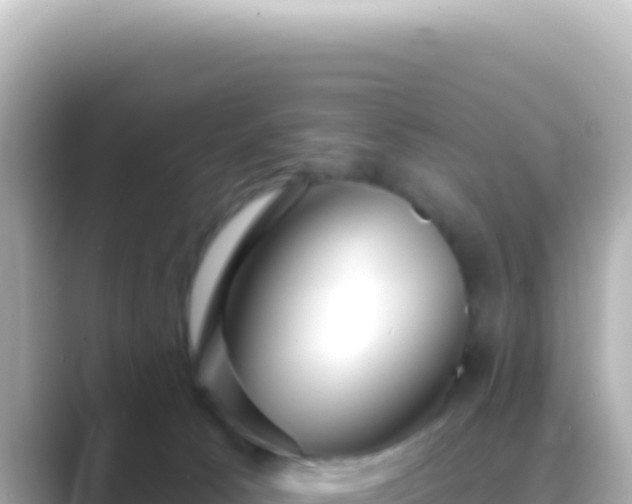 X0000089440033200706221237