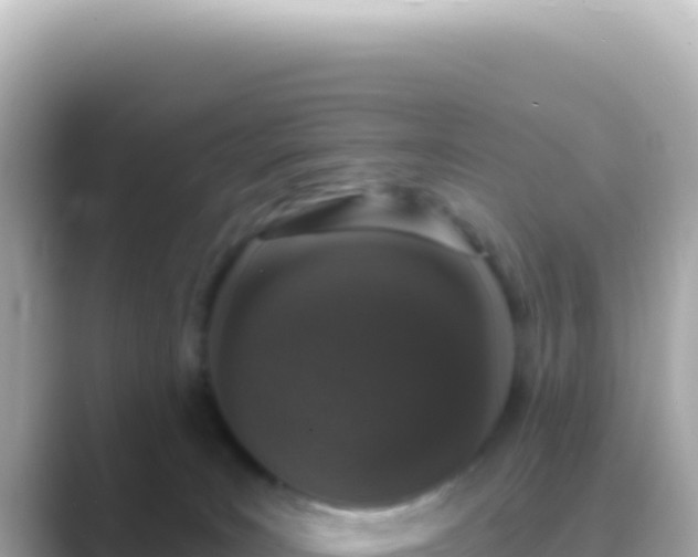 X0000089440035200706221237