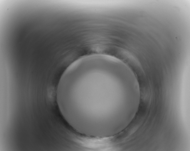 X0000089440036200706221237