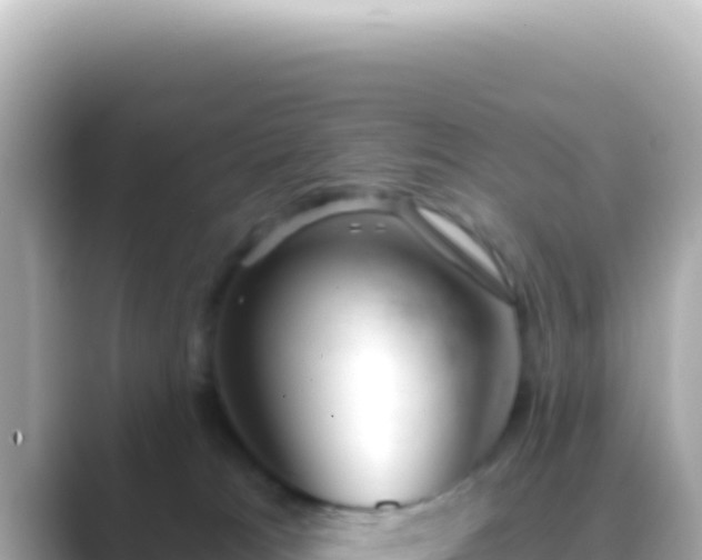 X0000089440037200706221237