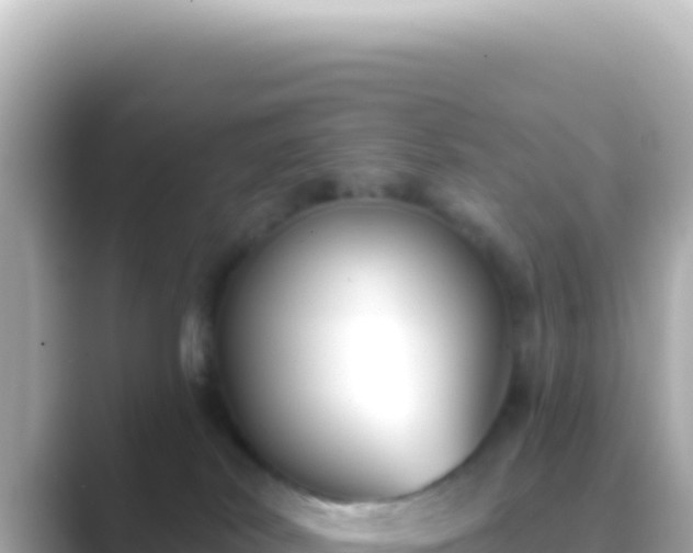 X0000089440038200706221237