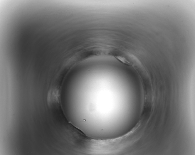 X0000089440045200706221237