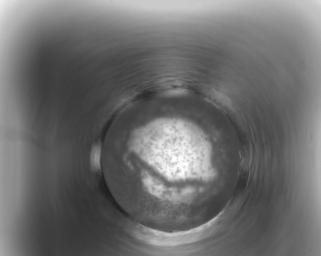 X0000089440047200706221237