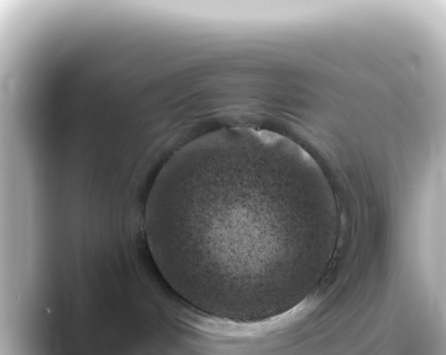 X0000089440048200706221237