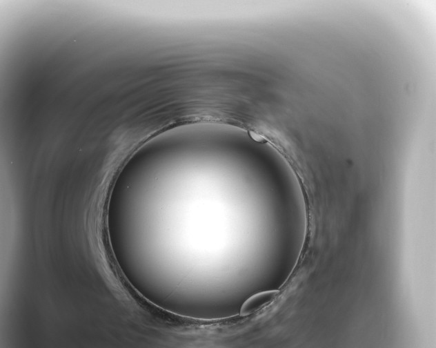 X0000089440049200706221236