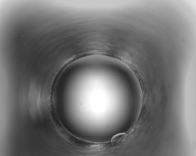 X0000089440050200706221236