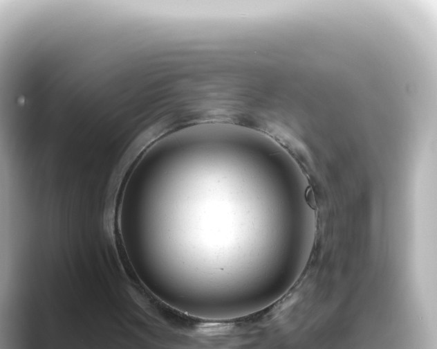 X0000089440051200706221236