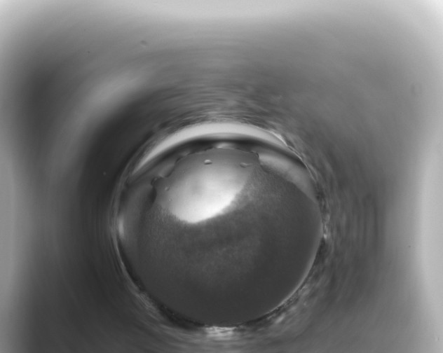 X0000089440052200706221236