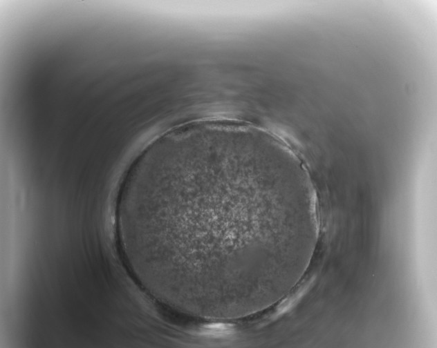 X0000089440053200706221236