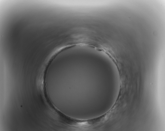 X0000089440054200706221236