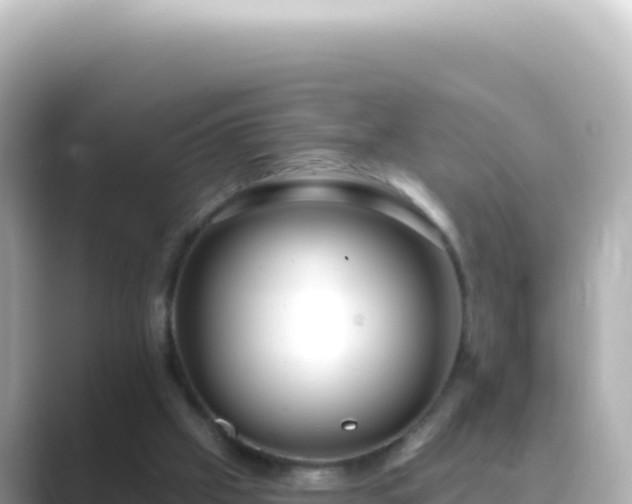 X0000089440057200706221236