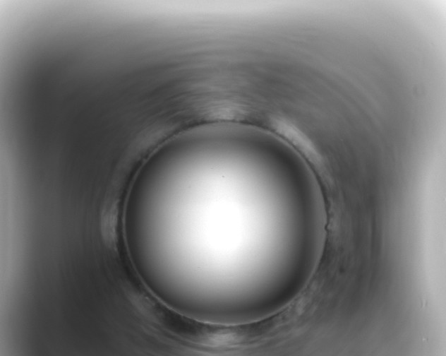 X0000089440058200706221236