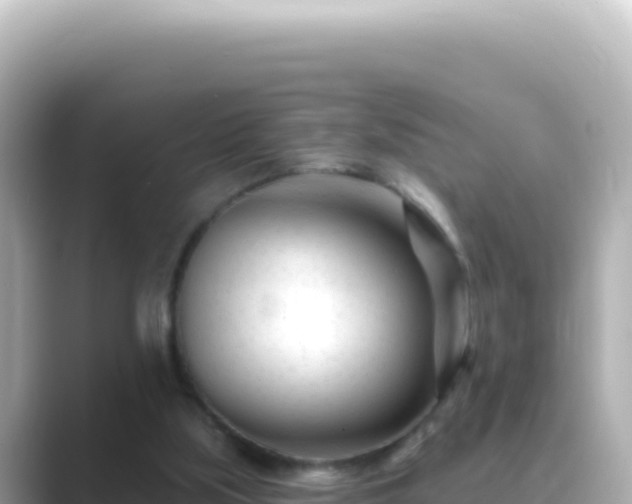X0000089440059200706221236