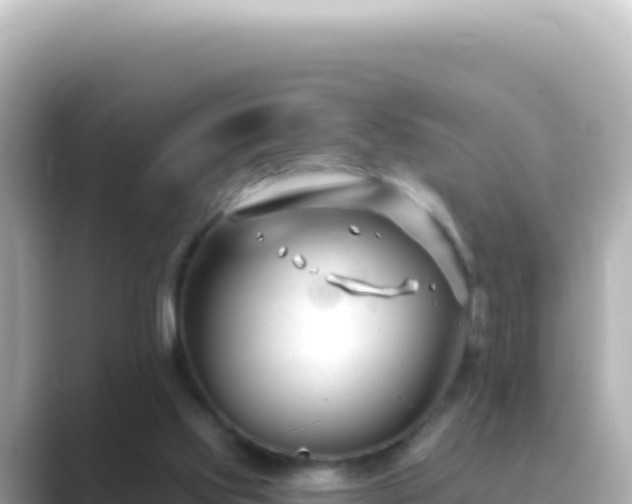 X0000089440061200706221236