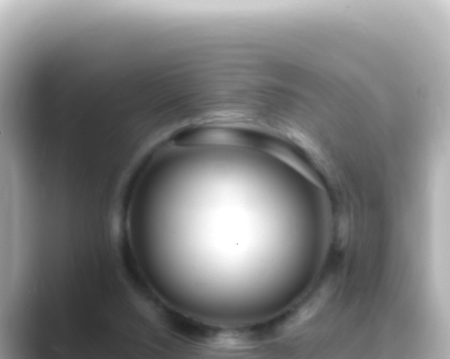 X0000089440064200706221236