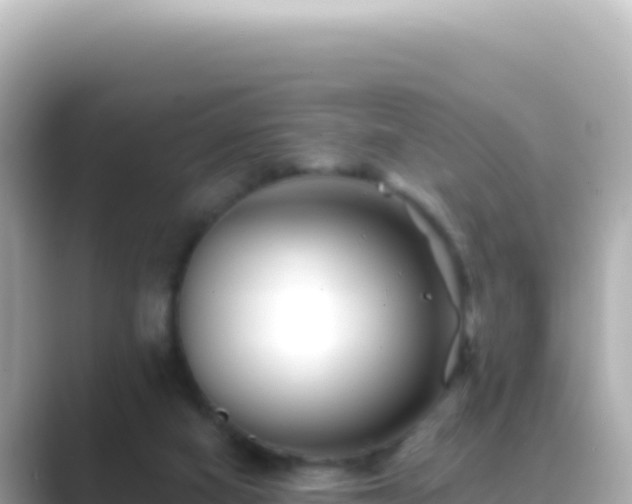 X0000089440066200706221236