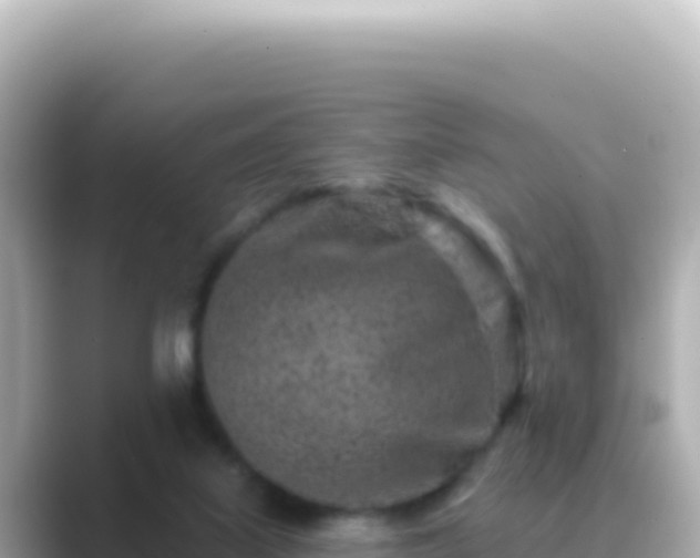 X0000089440067200706221236