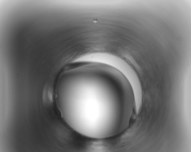 X0000089440068200706221236