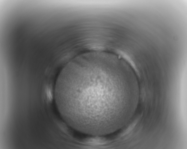 X0000089440069200706221237