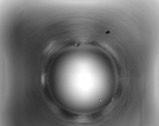 X0000089440070200706221237