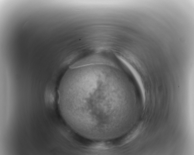 X0000089440072200706221237