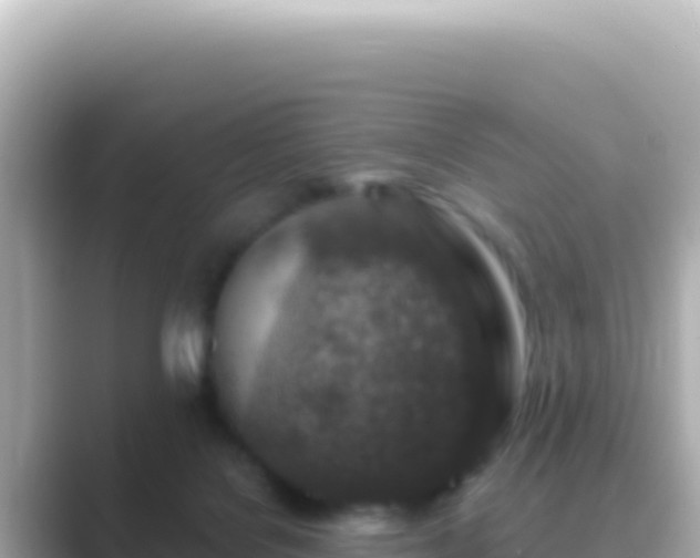X0000089440076200706221237