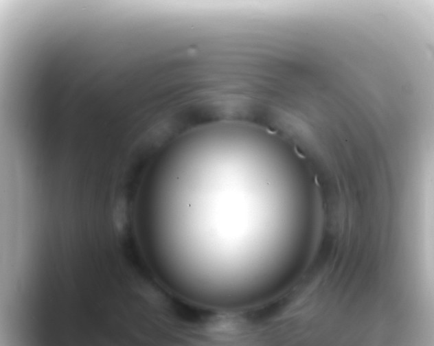X0000089440077200706221237